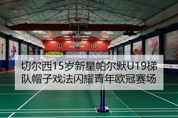切尔西15岁新星帕尔默U19梯队帽子戏法闪耀青年欧冠赛场