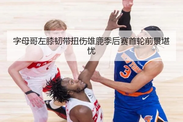 字母哥左膝韧带扭伤雄鹿季后赛首轮前景堪忧