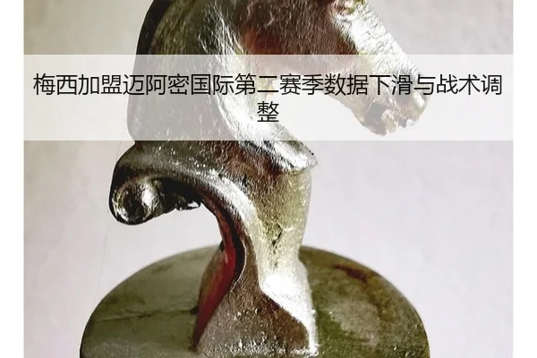 mei-xi-jia-meng-mai-a-mi-guo-ji-di-er-sai-ji-shu-ju-xia-hua-yu-zhan-shu-tiao-zheng-2-507.jpg